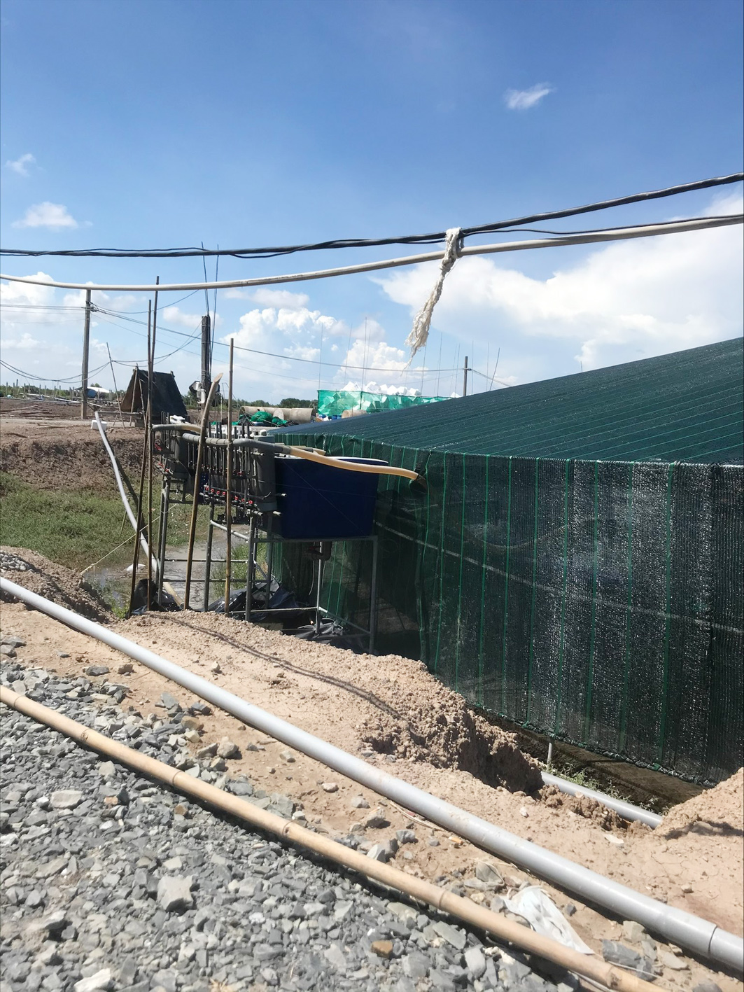 Hệ Thống Xử Lý Nước Nuôi Tôm Của Công Ty Thủy Sản