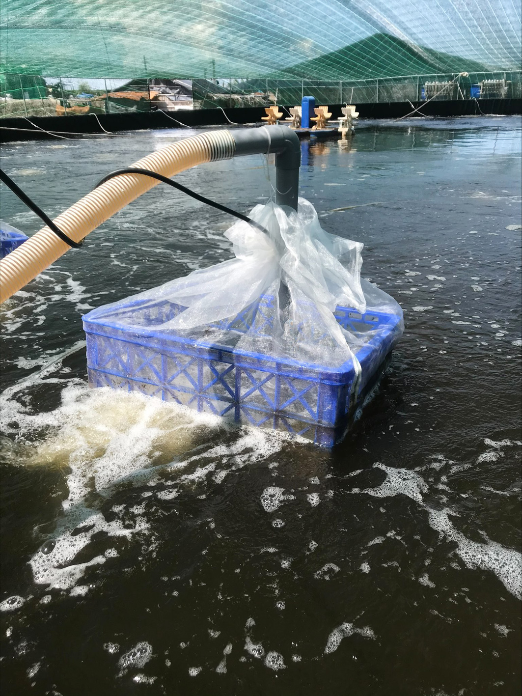 Hệ Thống Xử Lý Nước Nuôi Tôm Của Công Ty Thủy Sản