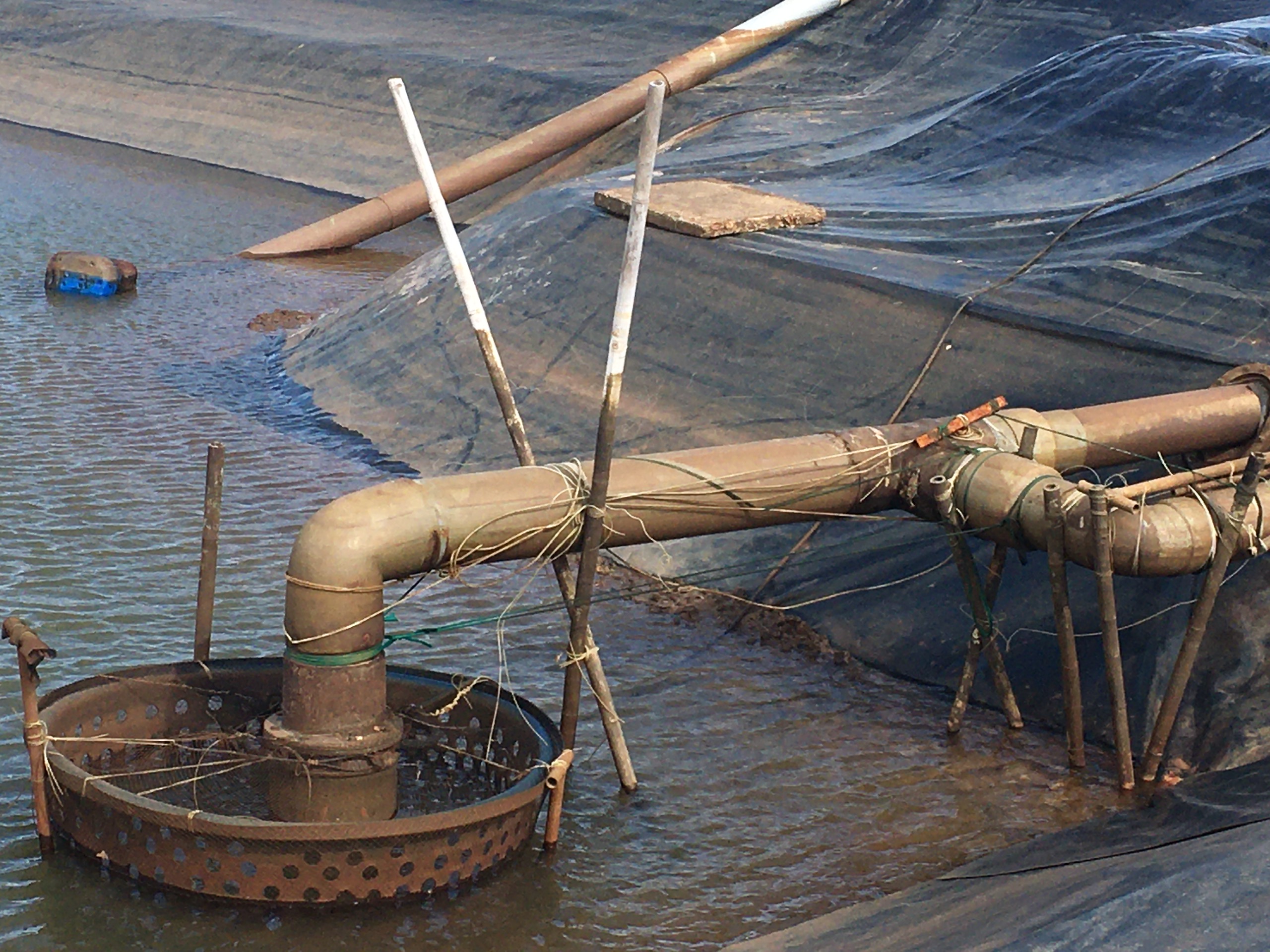 Hệ Thống Cấp Nước Cho Ao Nuôi Tôm Thuỷ Sản AGRITECH Ngọc Hiển Cà Mau