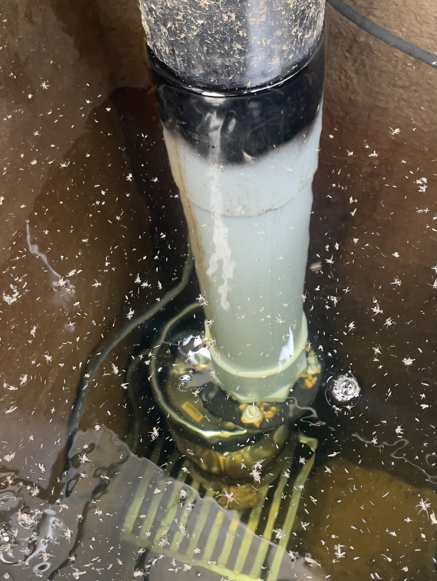 Hệ Thống Xử Lý Nước Nuôi Cá Koi Hệ Thống Xử Lý Nước Nuôi Cá Koi