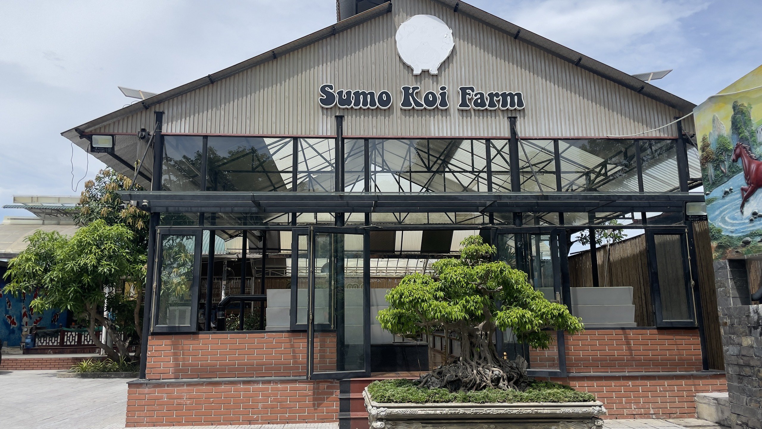 Hệ Thống Xử Lý Nước Nuôi Cá Koi Hệ Thống Xử Lý Nước Nuôi Cá Koi