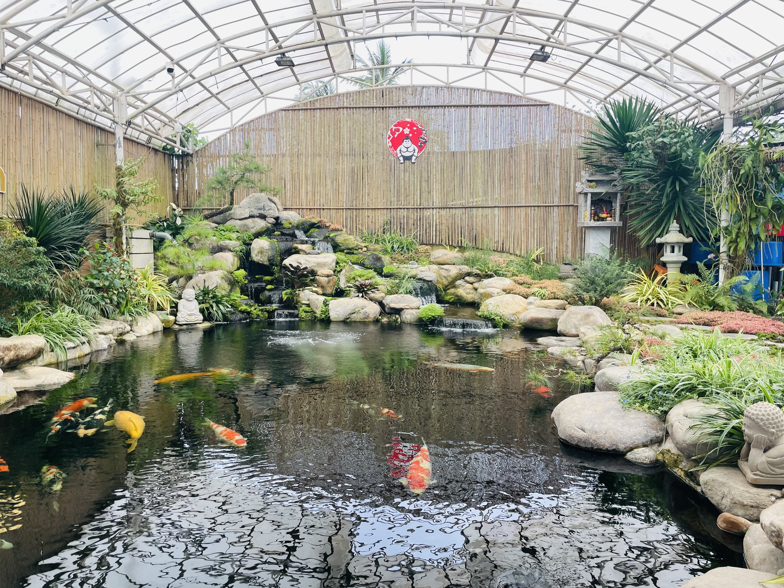 Hệ Thống Xử Lý Nước Nuôi Cá Koi Hệ Thống Xử Lý Nước Nuôi Cá Koi