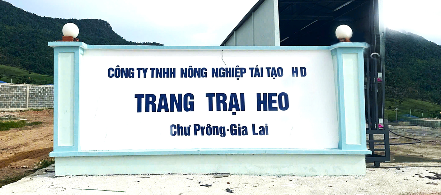 TRANG TRẠI HEO X TẠI GIA LAI TRANG TRẠI HEO X TẠI GIA LAI